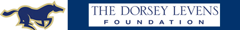 The Dorsey Levens Foundation